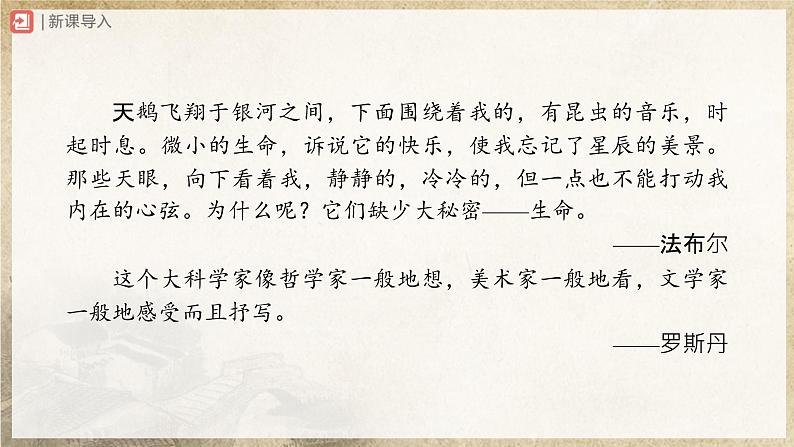 【人教部编版】八上语文  名著导读 《昆虫记》科普作品的阅读（课件+教案+导学案）02