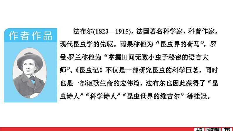 昆虫记-中考语文第一轮复习课件PPT02