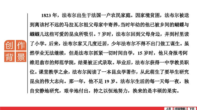 昆虫记-中考语文第一轮复习课件PPT03