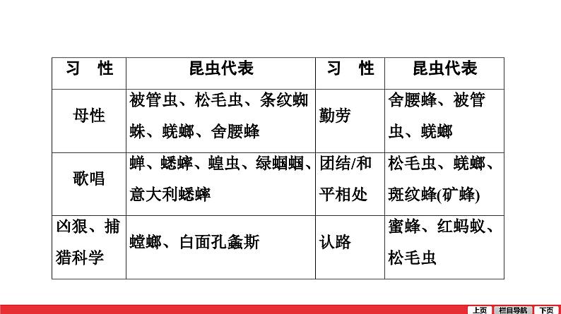 昆虫记-中考语文第一轮复习课件PPT04