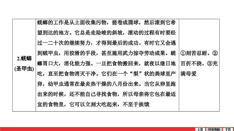 昆虫记-中考语文第一轮复习课件PPT06