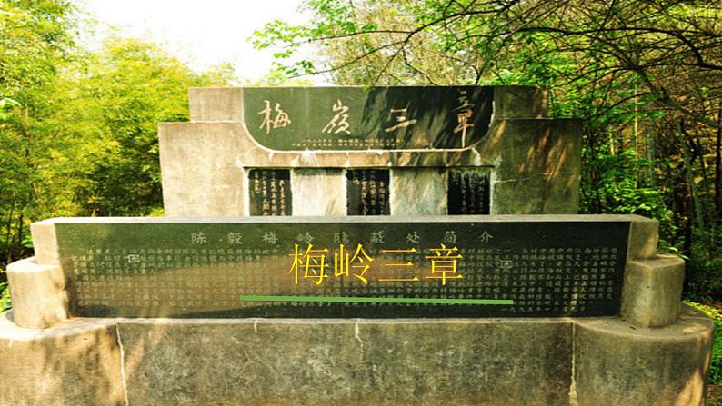 【核心素养】部编版初中语文九下2《梅岭三章》 课件+教案+导学案（师生版）+同步测试（含答案）02