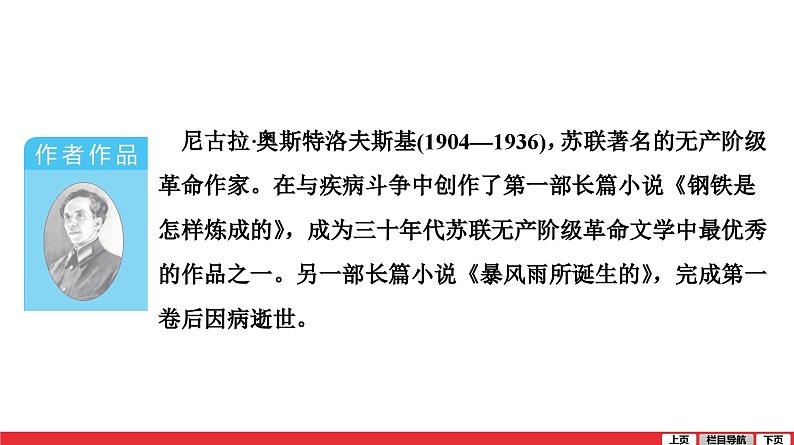 钢铁是怎样炼成的课件PPT第2页