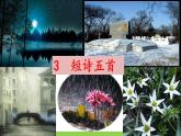 【核心素养】部编版初中语文九下3《短诗五首》 课件+教案+导学案（师生版）+同步测试（含答案）