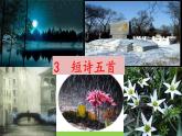 【任务型教学】2025部编初中语文九下3《短诗五首》 课件+教案+导学案（师生版）+同步测试（含答案）