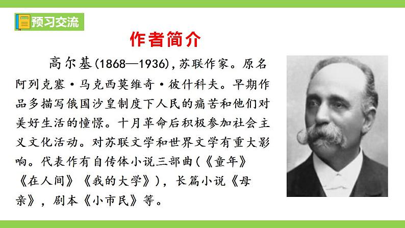 【核心素养】部编版初中语文九下4《海燕》 课件+教案+导学案（师生版）+同步测试（含答案）05