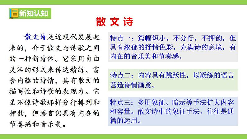 【核心素养】部编版初中语文九下4《海燕》 课件+教案+导学案（师生版）+同步测试（含答案）07