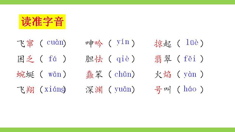 【核心素养】部编版初中语文九下4《海燕》 课件+教案+导学案（师生版）+同步测试（含答案）08