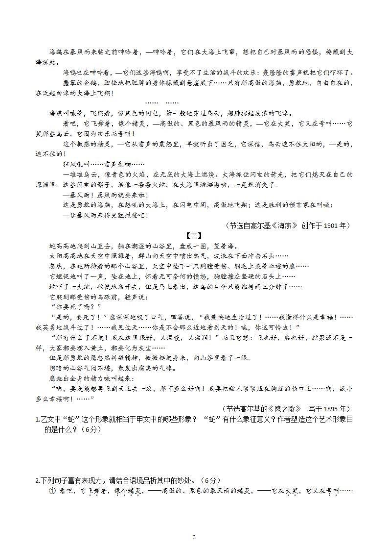 【核心素养】部编版初中语文九下4《海燕》 课件+教案+导学案（师生版）+同步测试（含答案）03