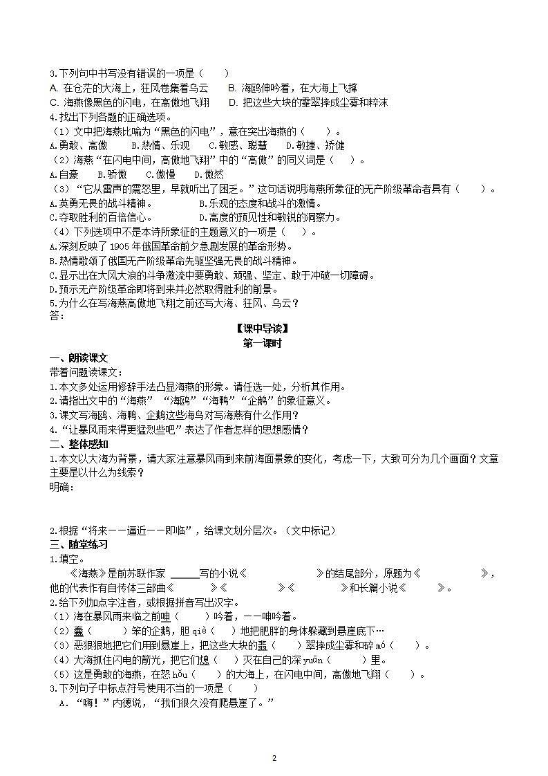 【核心素养】部编版初中语文九下4《海燕》 课件+教案+导学案（师生版）+同步测试（含答案）02