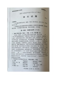 2023年山东省潍坊市中考语文真题
