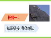 【任务型教学】2025部编版初中语文九下7《溜索》 课件+教案+导学案（师生版）+同步测试（含答案）