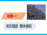 【任务型教学】2025部编版初中语文九下7《溜索》 课件+教案+导学案（师生版）+同步测试（含答案）