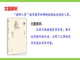 【任务型教学】2025部编版初中语文九下8《蒲柳人家》 课件+教案+导学案（师生版）+同步测试（含答案）