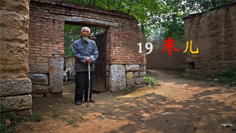 【核心素养】部编版初中语文九下19《枣儿》 课件+教案+导学案（师生版）+同步测试（含答案）02