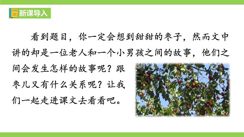 【核心素养】部编版初中语文九下19《枣儿》 课件+教案+导学案（师生版）+同步测试（含答案）03