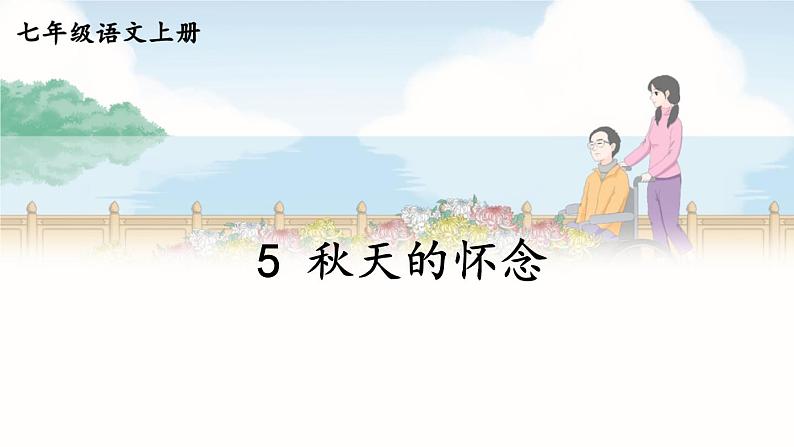 第二单元 5 秋天的怀念 7语上[课件+教案+习题]01