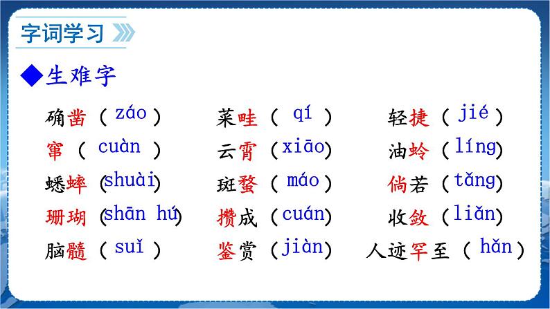第三单元 9 从百草园到三味书屋 7语上[课件+教案+习题]06