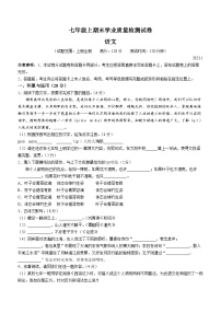 河南省安阳市汤阴县2022-2023学年七年级上学期期末语文试题