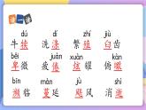 统编版语文八上 16 《散文二篇》  课件+教案+课课练