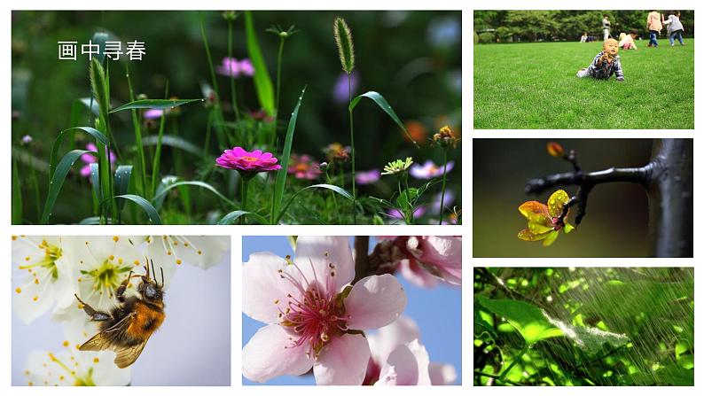 第1课《春》 课件+教案+作业+导学案+练习02