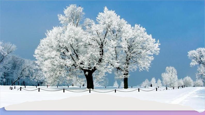 第2课《济南的冬天》 课件+教案+作业+导学案+练习03