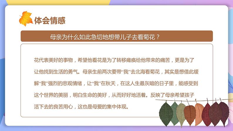 第5课《秋天的怀念》 课件+教案+作业+导学案+练习05
