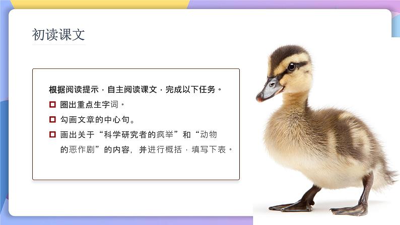 第17课《动物笑谈》 课件+教案+作业+导学案+练习05