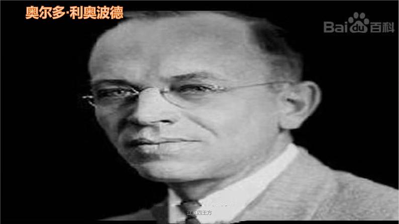 人教部编版语文八年级下册第二单元《大雁归来》优秀PPT课件（共2课时）第3页