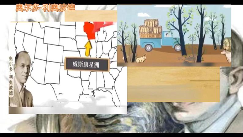 人教部编版语文八年级下册第二单元《大雁归来》优秀PPT课件（共2课时）第4页