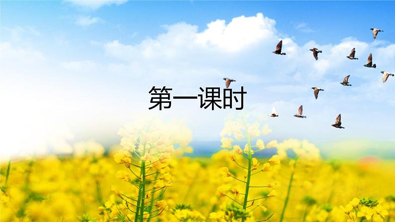 人教部编版语文八年级下册第二单元《大雁归来》优秀PPT课件（共2课时）第8页