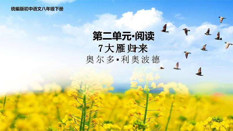 人教部编版语文八年级下册第二单元《大雁归来》第一课时优秀PPT课件第1页