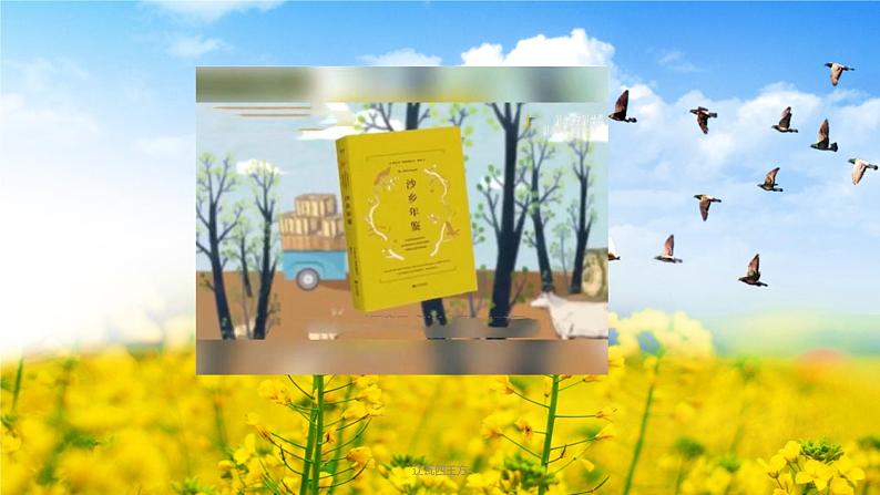 人教部编版语文八年级下册第二单元《大雁归来》第一课时优秀PPT课件第5页