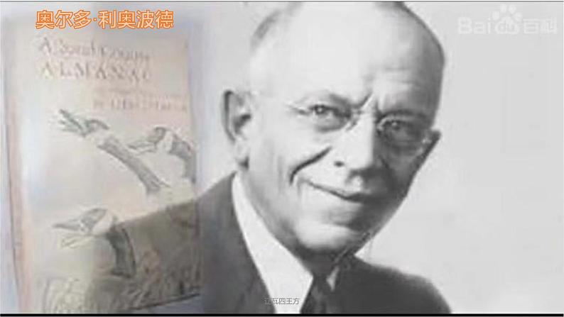 人教部编版语文八年级下册第二单元《大雁归来》第一课时优秀PPT课件第6页