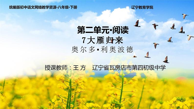 人教部编版语文八年级下册第二单元《大雁归来》第一课时优秀PPT课件第7页