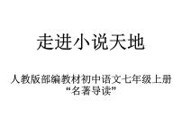 初中语文人教部编版九年级上册综合性学习 走进小说天地授课ppt课件