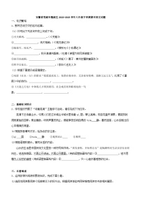 安徽省芜湖市镜湖区2022-2023学年八年级下学期期末语文试题（解析版）