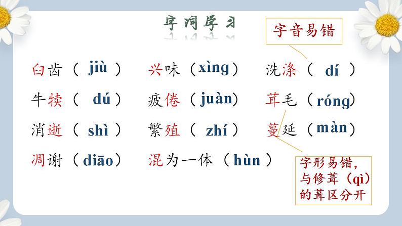 人教部编版初中语文八年级上册 16.《散文二篇-永久的生命》第一课时 课件PPT第7页