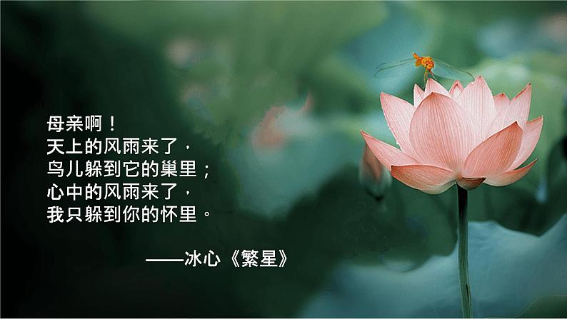 第7课《散文诗二首》（荷叶·母亲）课件第2页