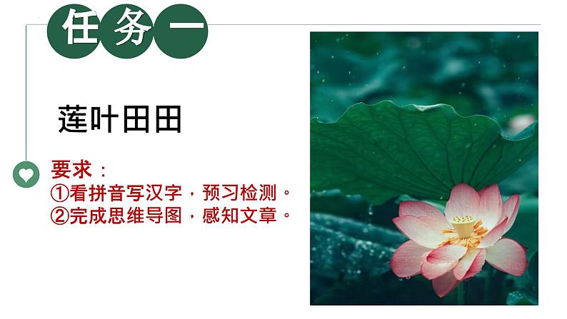 第7课《散文诗二首》（荷叶·母亲）课件第7页