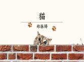 16猫-课件