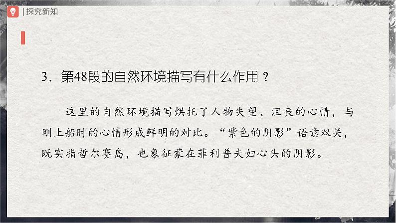 【部编版】九上语文   16《我的叔叔于勒》（第2课时）（课件+教案+学案）06