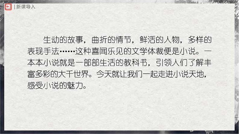 【部编版】九上语文   综合性学习 走进小说天地（课件+教案+学案）02