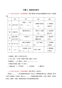 专题01：基础知识综合－2023-2024学年八年级语文下学期期末备考专题复习（浙江专用）