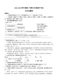 安徽省合肥市瑶海区2022-2023学年七年级下学期期中语文试题