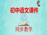 统编版语文八年级上册第三单元名著导读《红星照耀中国》纪实作品的阅读教学资料课件PPT