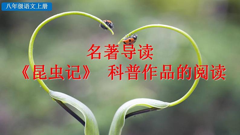 统编版语文八年级上册第五单元名著导读《昆虫记》科普作品的阅读教学资料课件PPT第5页