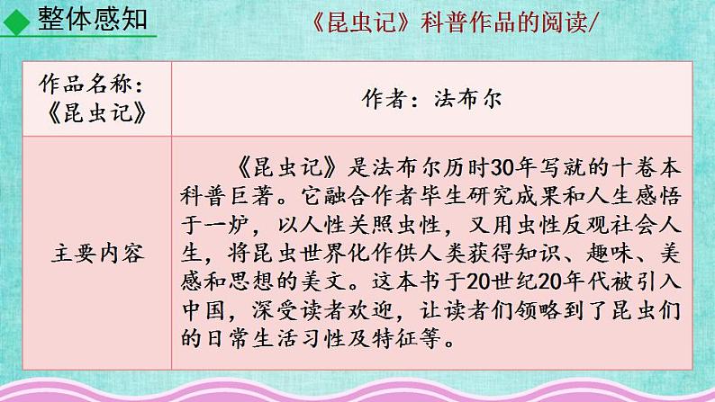 统编版语文八年级上册第五单元名著导读《昆虫记》科普作品的阅读教学资料课件PPT第6页