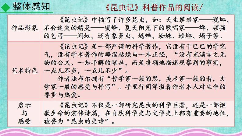 统编版语文八年级上册第五单元名著导读《昆虫记》科普作品的阅读教学资料课件PPT第7页