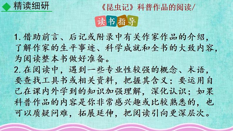 统编版语文八年级上册第五单元名著导读《昆虫记》科普作品的阅读教学资料课件PPT第8页